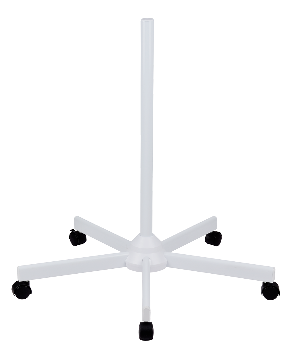 FS2
